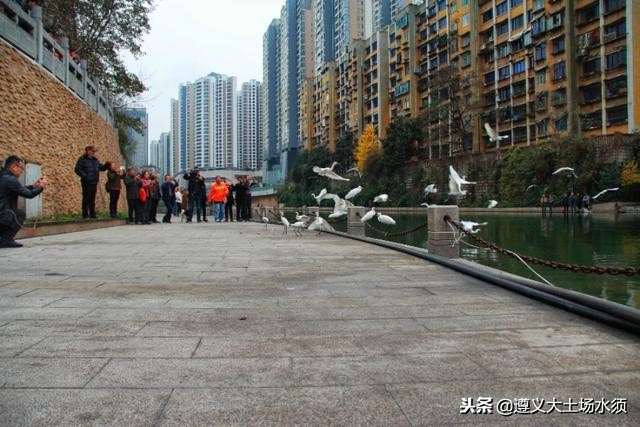 在冬天里看遵义湘江河上的秋色