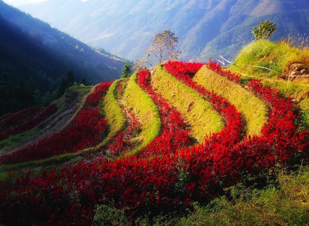 大美桂林欢迎大家,桂林本地人游桂林景区免费