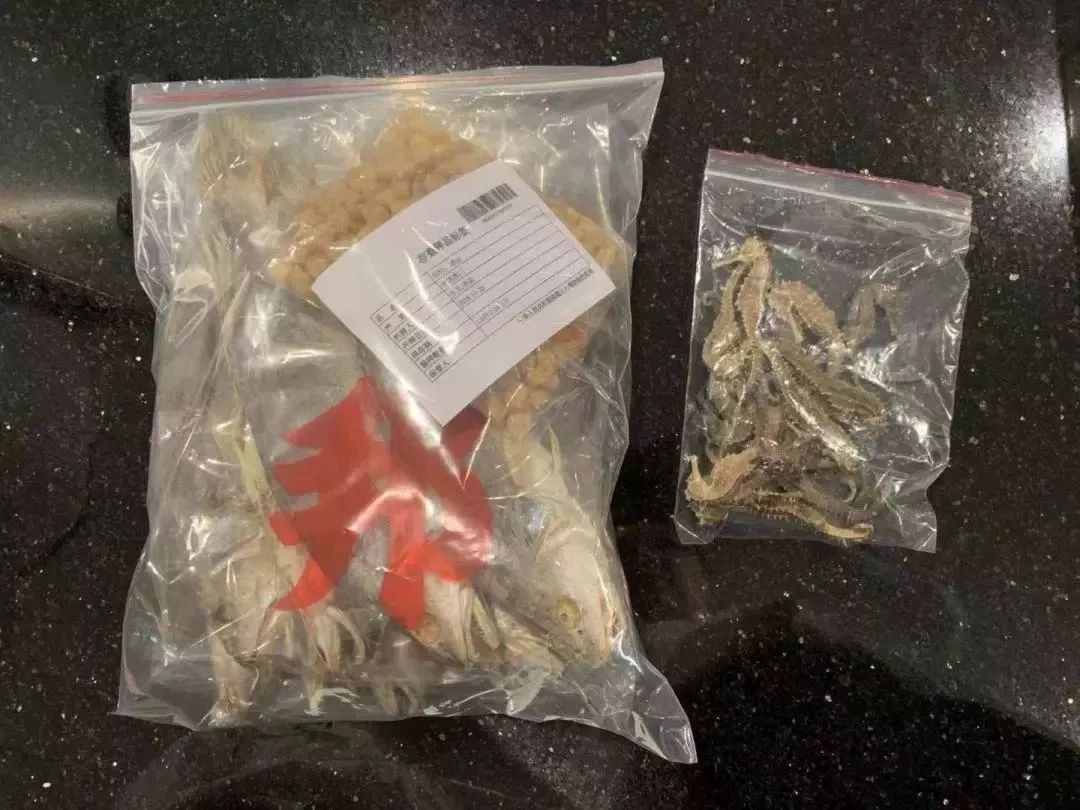 去香港要小心什么,去香港要注意哪些东西