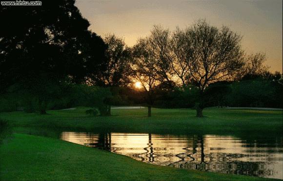 薄荷淡香原创诗歌（08060期）