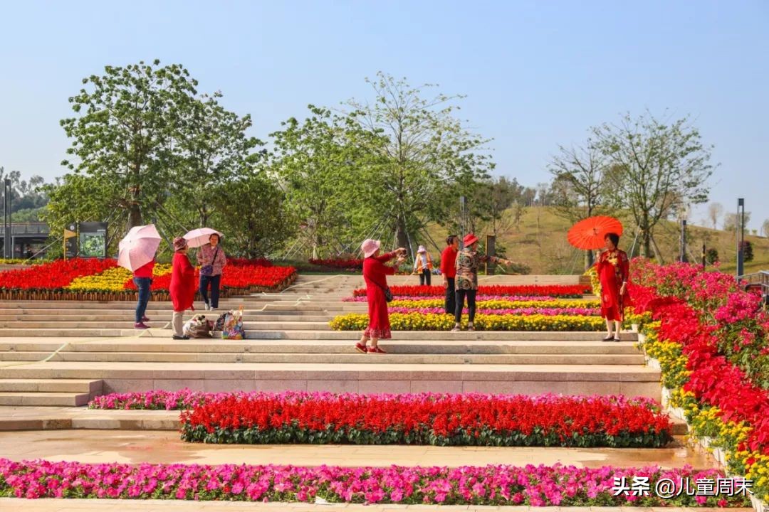 深圳中心公园足球场,深圳中心公园大草坪