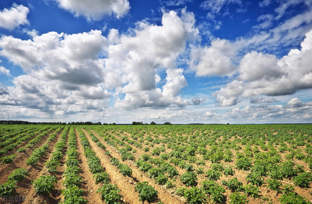 山东潍坊公告,山东省潍坊市最新通报