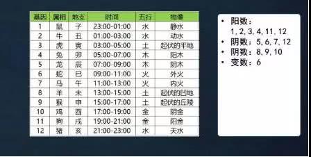 属牛今年犯太岁怎么化解,今年属蛇犯太岁如何化解