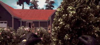 逃离精神病院的游戏叫什么,精神病院真实生活游戏