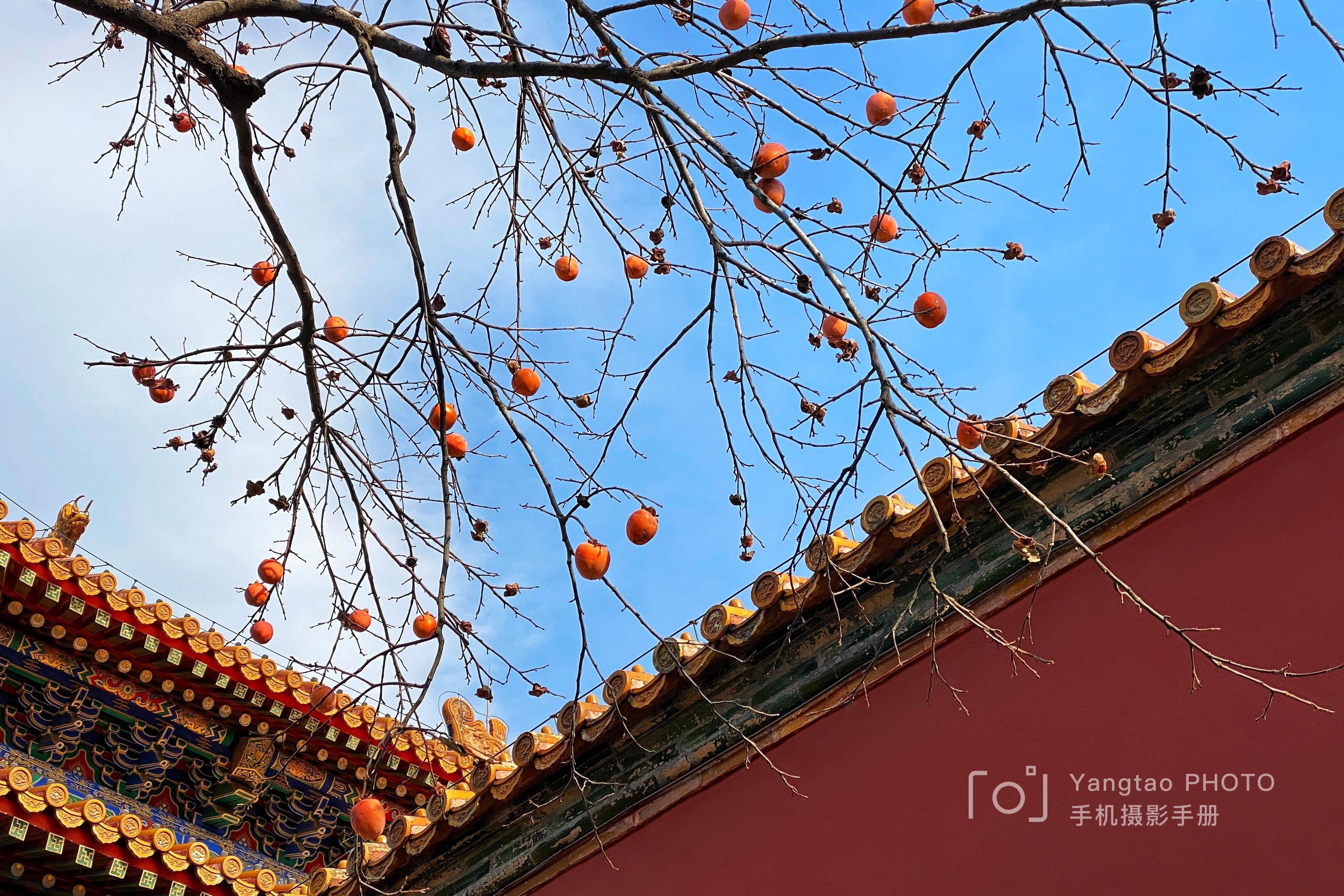 飞行2万公里，足迹10个城市——2020我的手机摄影之旅