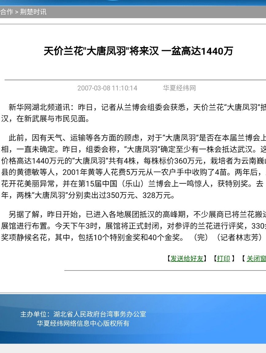 最便宜的兰花多少钱一株啊,为什么有的兰花卖到几十万一棵