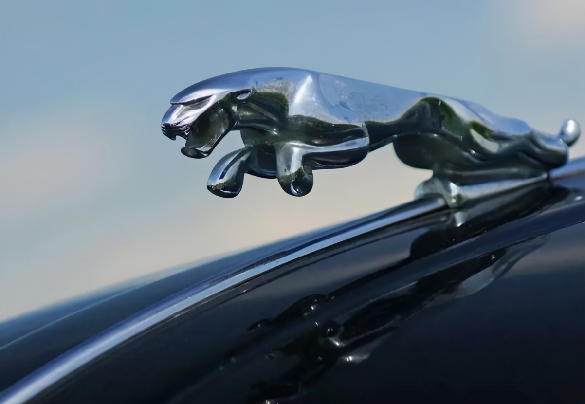 捷豹最新维权消息,捷豹维权后续