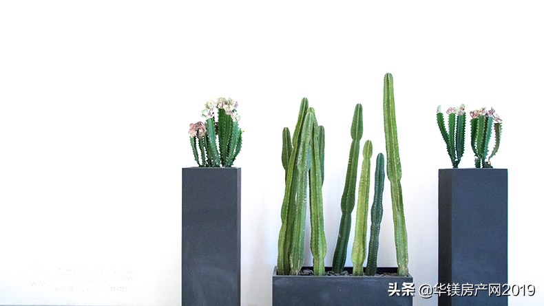 缺西南角的房子化解物件怎么摆,缺东北角和北边房子化解方法