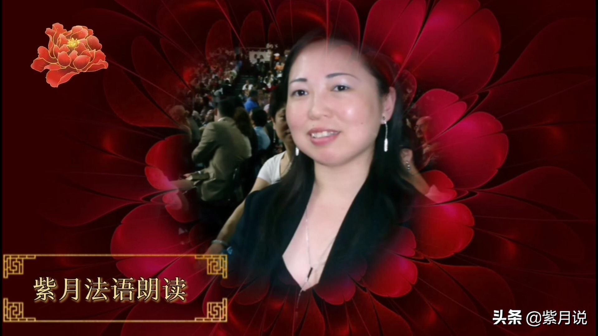 紫月法语全集朗读,紫月中英文朗读