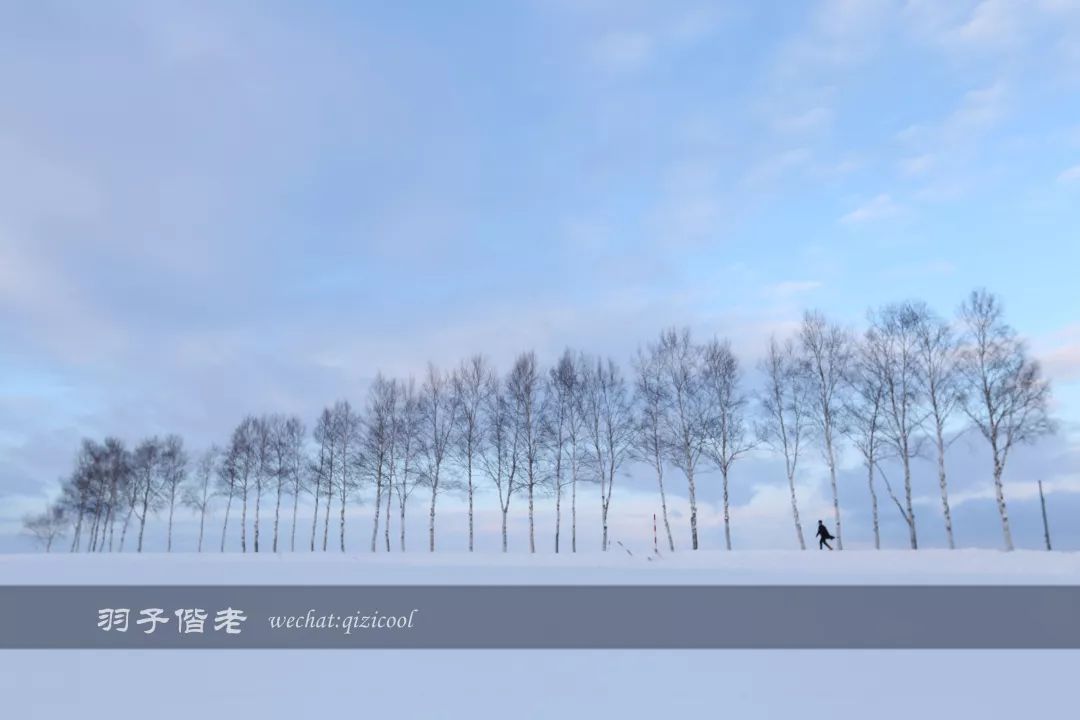老实说,这一趟北海道就是为了拍好看的照片去的