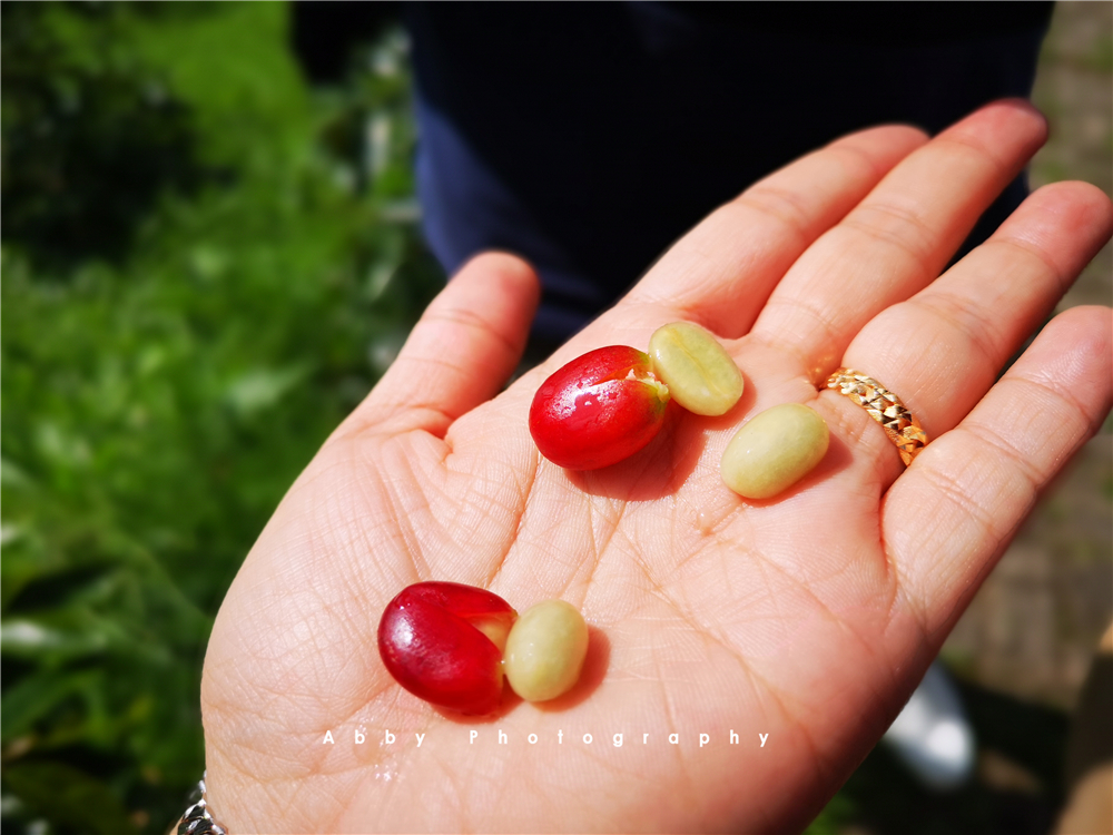 印尼苏门答腊岛好玩的地方,印尼苏门答腊岛海岛