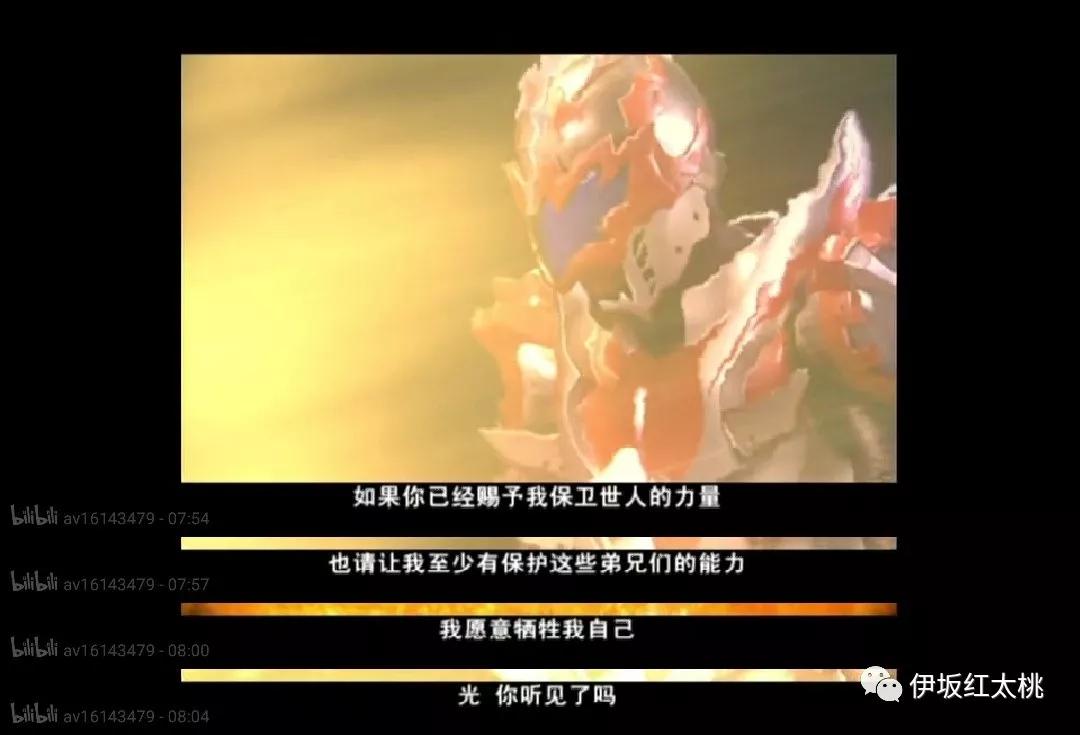 能在青春懵懂的时候遇见你,能在最美的年华里遇见最美的你