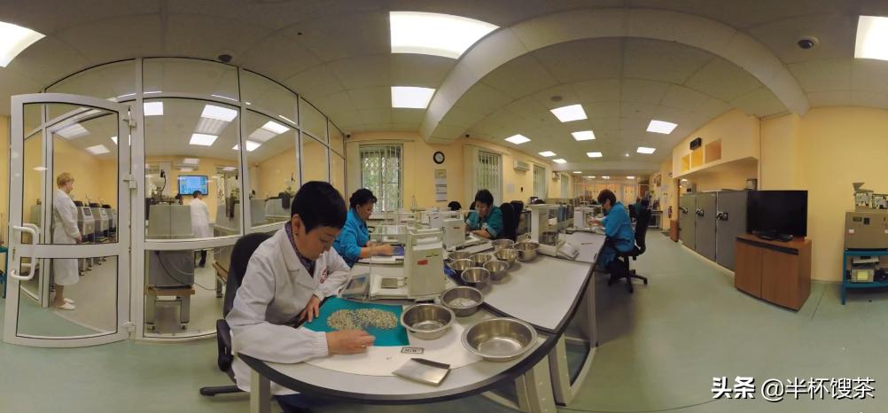 史上最大钻石矿,全球钻石储量有多少吨