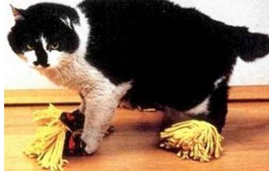 中国人发明了新的四大发明,中国四大发明新发明