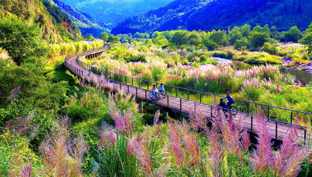 2019年杭州最美绿道,余杭街道苕溪北岸绿道