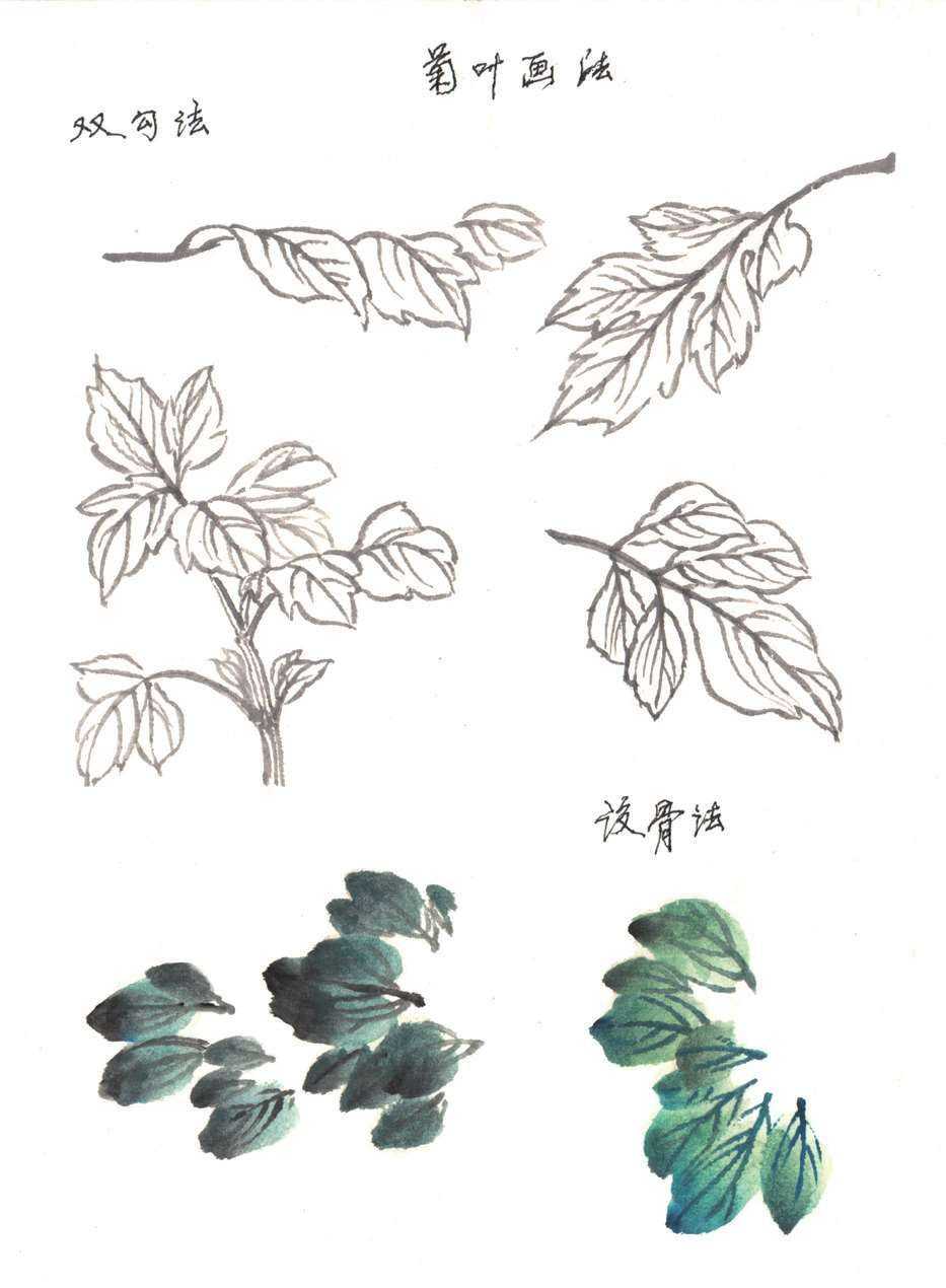 梅兰竹菊国画菊花初学者怎么用笔,国画菊花的画法和技巧