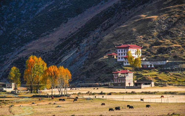 一起去西藏5条经典进藏路线,最新进藏最全攻略