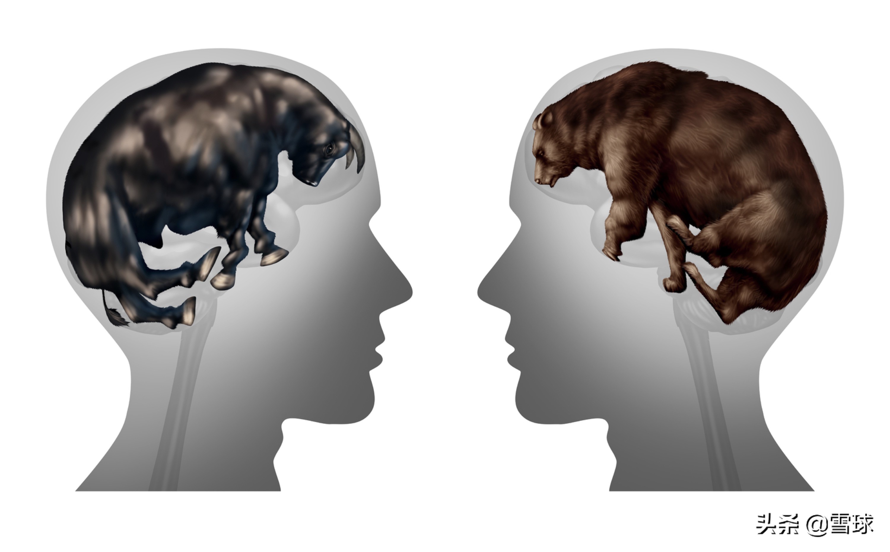 低风险高收益的菜鸟投资之道,高收益高回报的投资