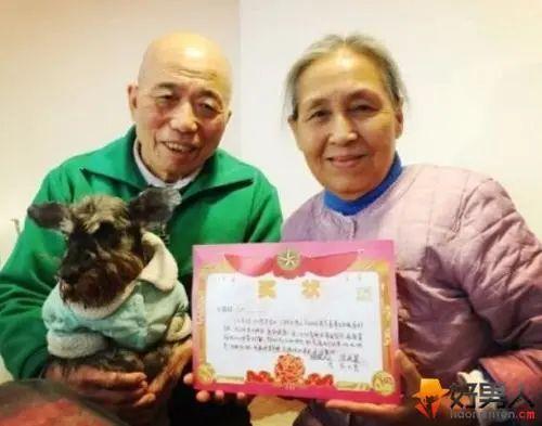 从被传开除到京圈太子妃,白百何的上位之路,可没你想的那么简单