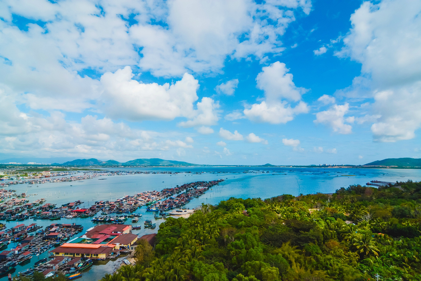 你在南方瑟瑟发抖，我在这里遛娃、看猴、赶海····