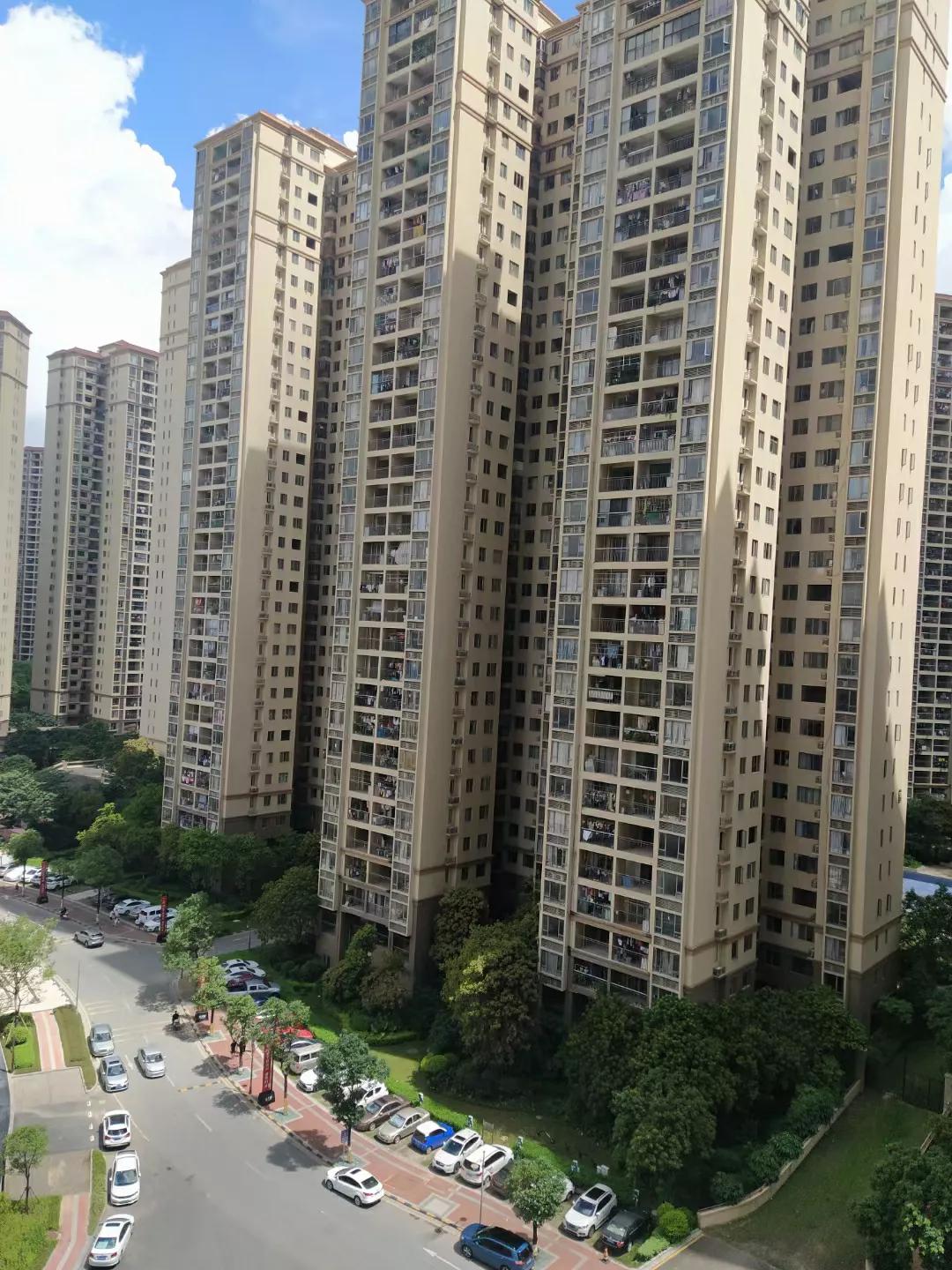 人在深圳感悟,人在深圳旅途图片