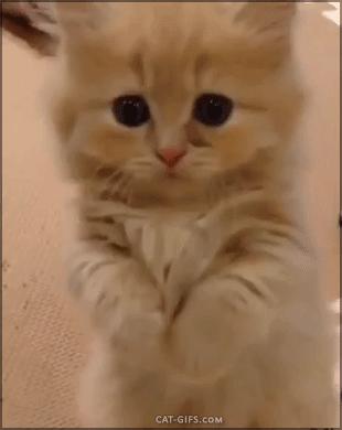 感冒了还能锻炼吗,感冒了还能打疫苗吗