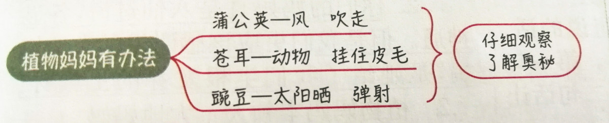 二年级上册语文课文讲解重点归纳,二年级上册语文第3单元预习资料