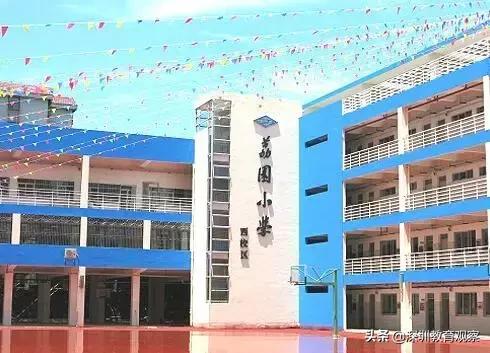 深圳福田小学排名一览表,八一八小学