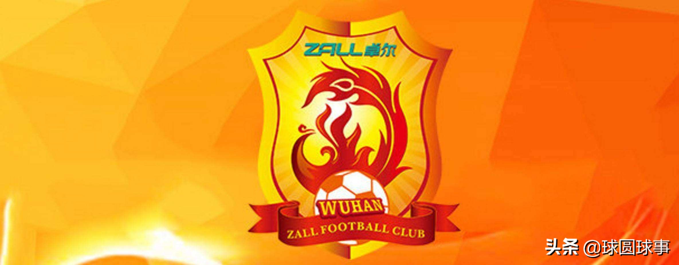 武汉抗疫捐助名单,抗疫捐赠百万元