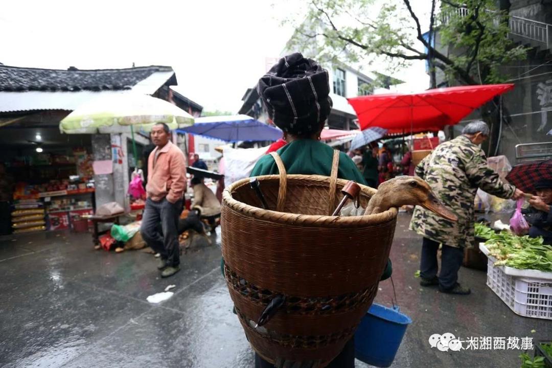 最亲家乡人最浓家乡情,家乡的山家乡水家乡的美景