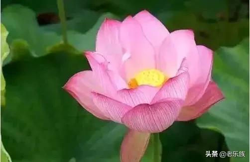 100首才华横溢的经典诗词,公认最有才华的诗