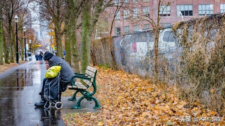 加拿大多伦多生活日记,加拿大多伦多留学生活纪实