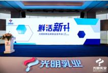 光明乳业新消息,深度解读光明乳业