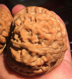 文玩核桃阴皮与反油的区别,文玩核桃反油了怎么办