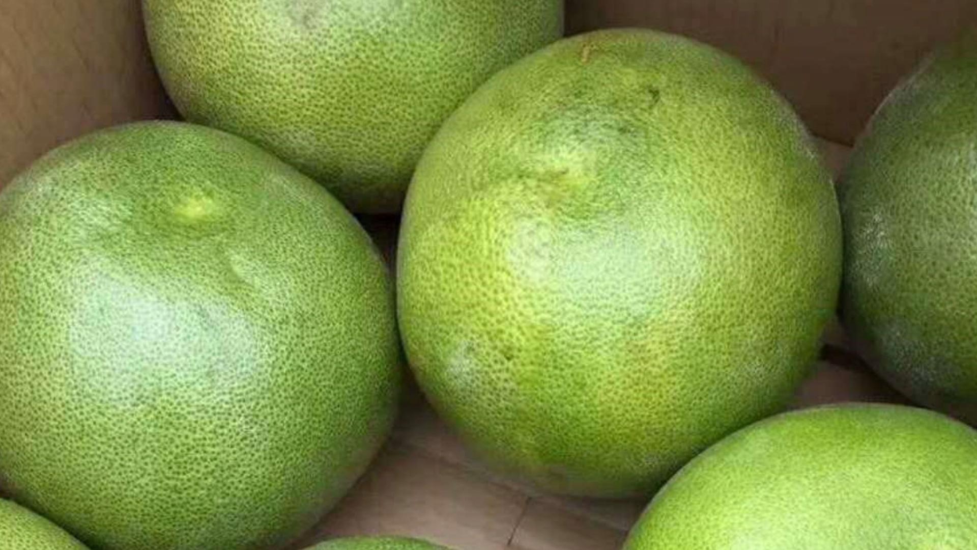 柚子甜不甜在树上就决定了,柚子甜不甜很甜原版视频