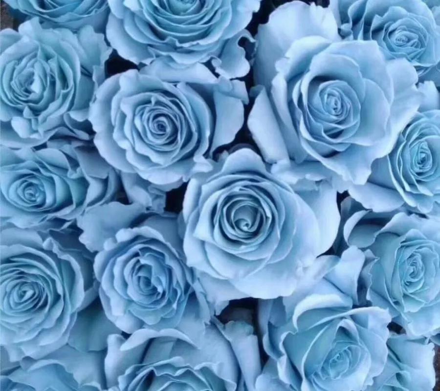 花店热销花,热卖鲜花花束