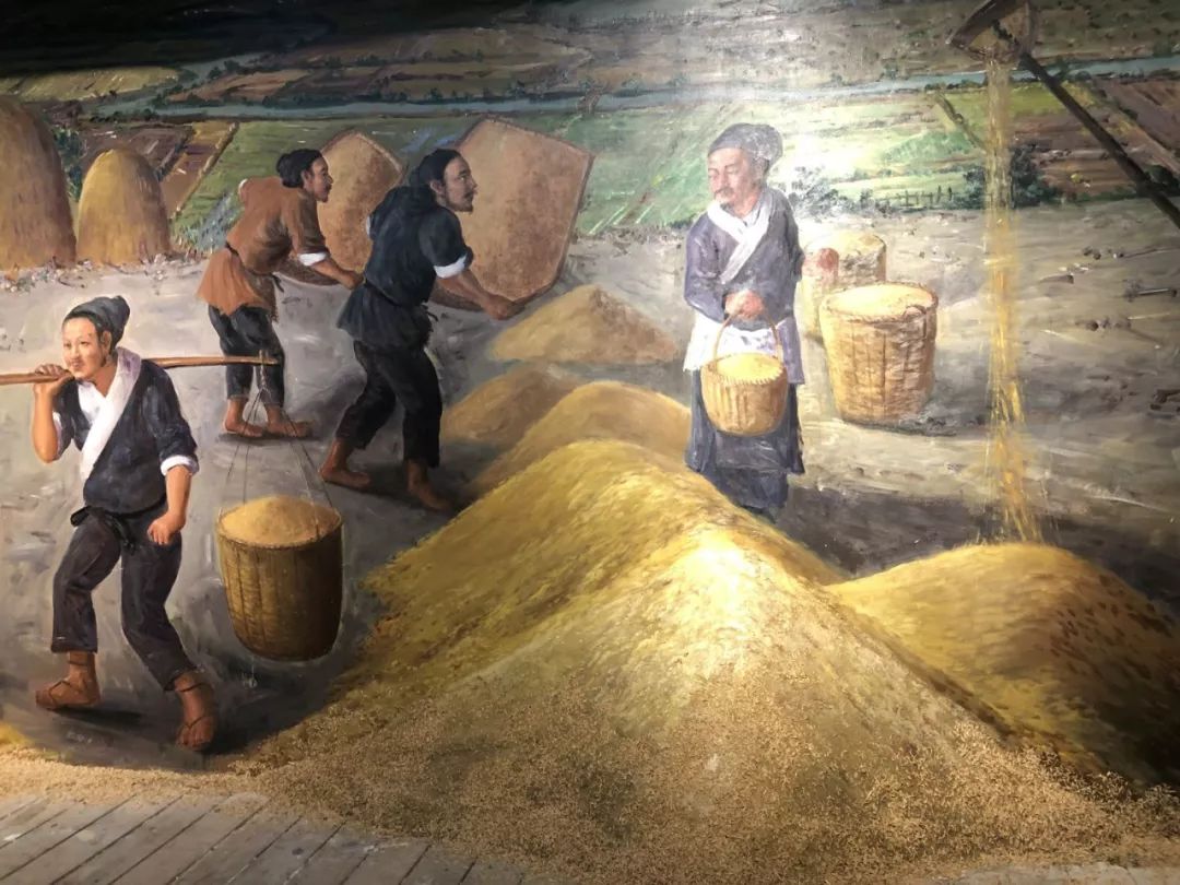 宋朝粮食,宋朝粮食自给