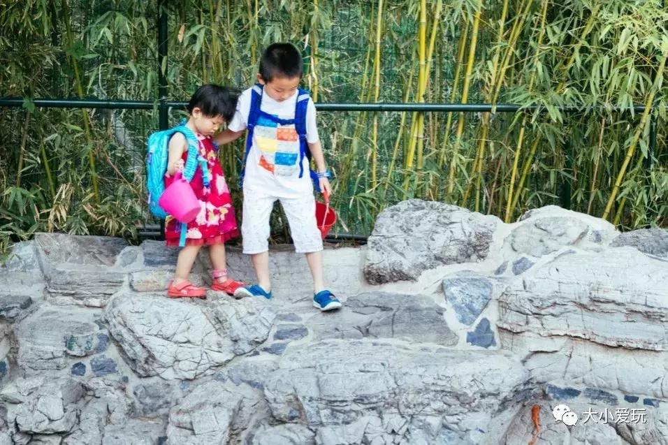 夏日遛娃必备好物清单！这些高颜值装备让娃成为沙滩上最靓的崽