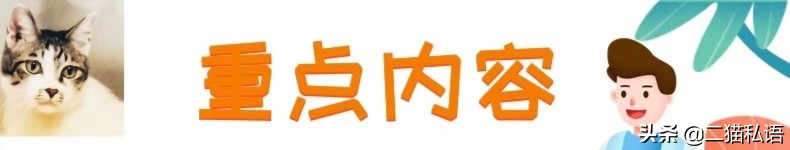 猫咪咬电线怎么办,为什么半个月大的猫咪喜欢咬电线