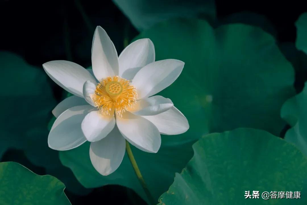 女生来大姨妈的重要性,大姨妈对女人的重要性