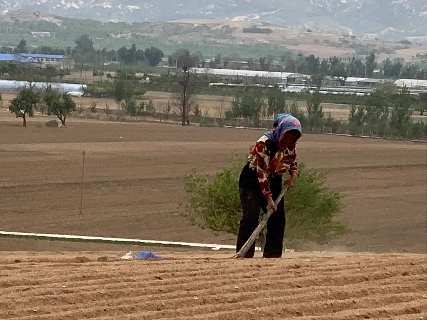 宁在殿前不在庙后是什么意思,宁住庙前不住庙后门