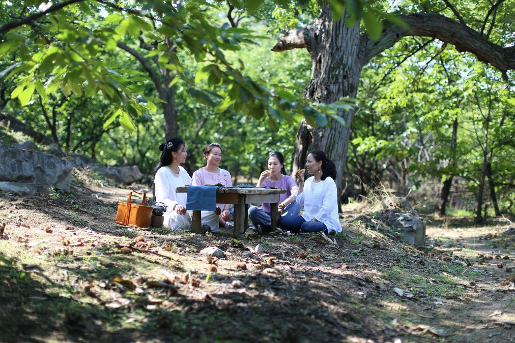 北京京郊女孩抱团养老村,北京山里抱团养老