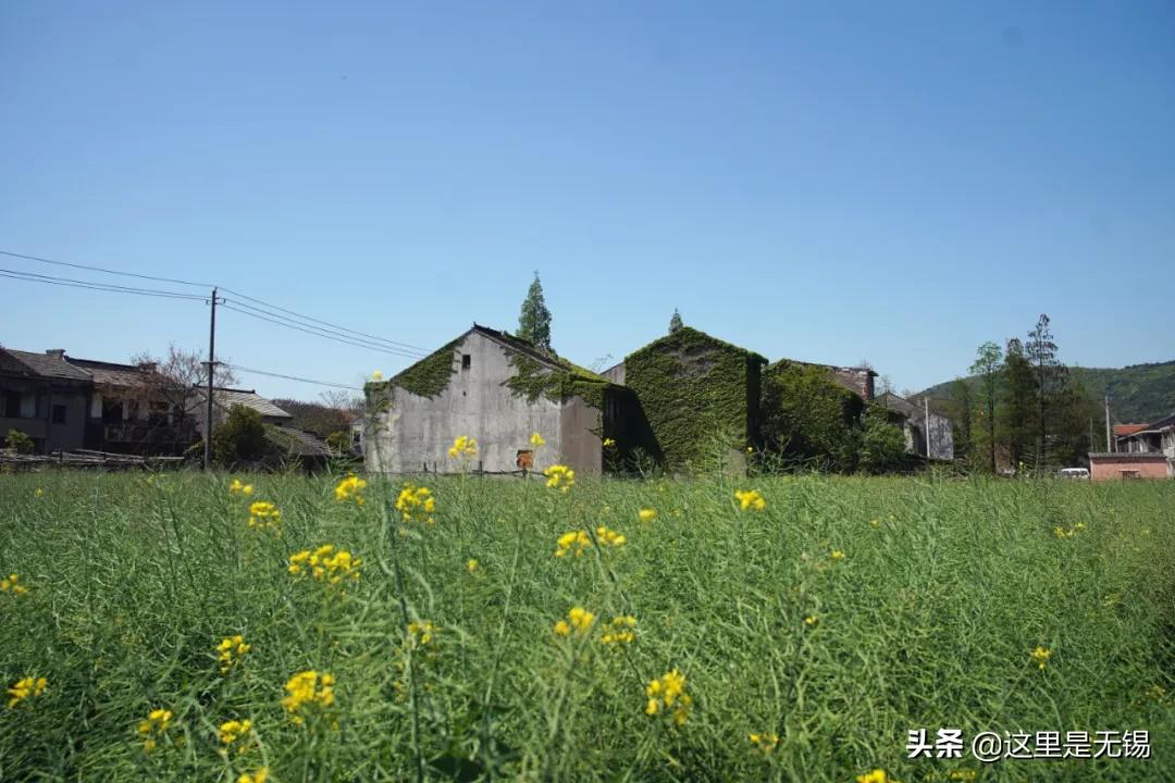 无锡七条老街,无锡值得逛的老街