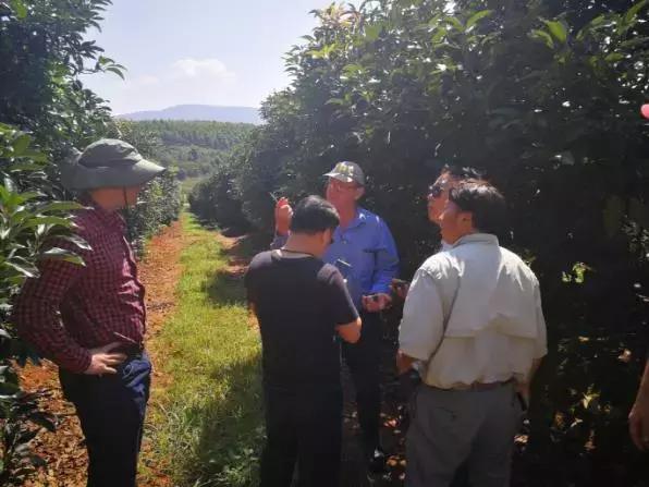 开百果园这样的水果店怎么选址,1400多家门店的水果连锁店百果园