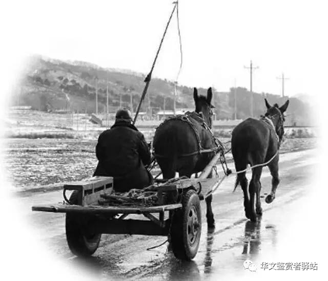 上世纪30年代农村马车,六七十年代农村主要运输工具重温