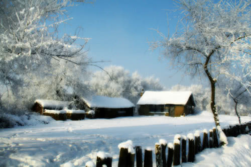 关于冬天风的作文200字,冬天的风的作文好段