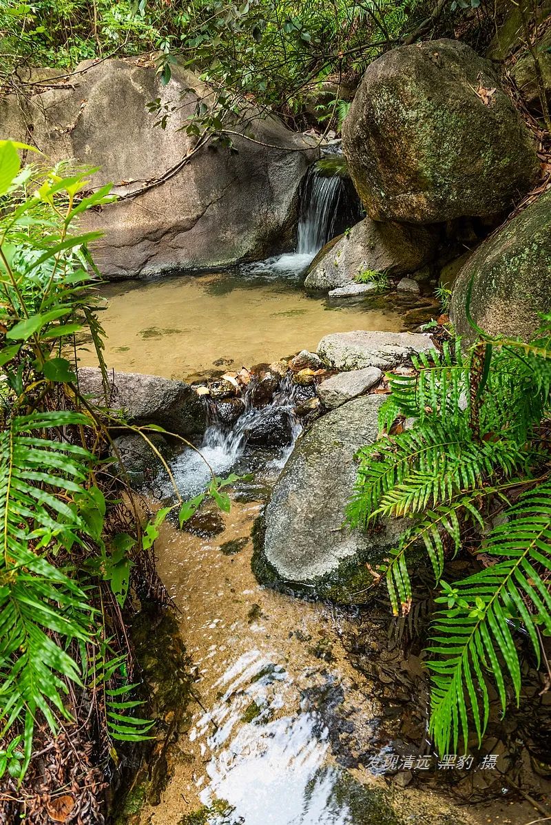 一次平常溯溪，竟意外发现广东最隐秘瀑布野温泉谷