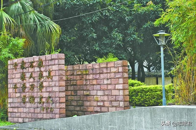 私立华联学院高校评分,广州私立华联学院全国排名