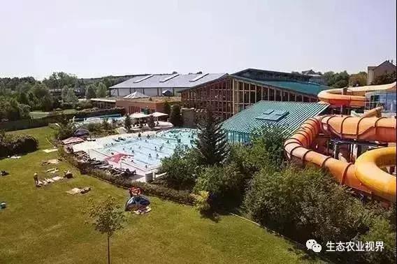 用一颗草莓吸引5百万游客,开5家主题乐园、4家超市、300个草莓屋