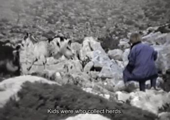 莫德里奇精彩足球瞬间,16岁足球老将与小将莫德里奇